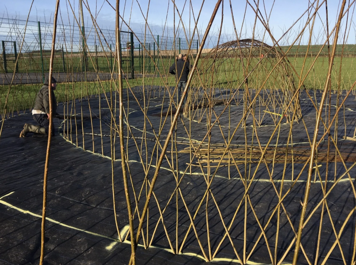 Yorkshire Willow
